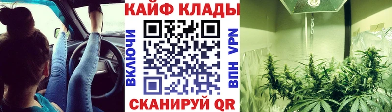 Как найти наркотики Ленинск-Кузнецкий Гашиш  Каннабис  Cocaine  СК  Меф мяу мяу 